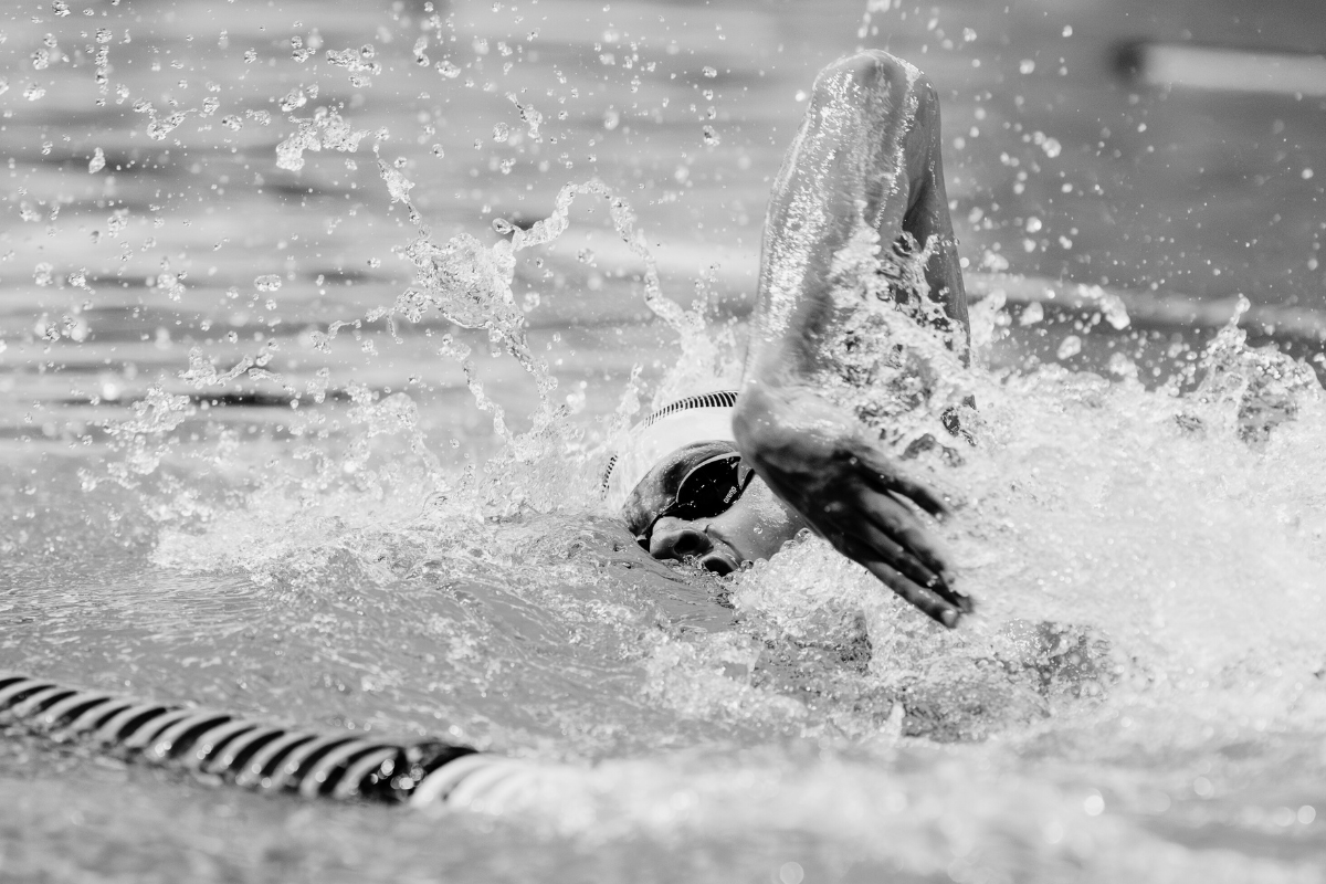 Lane Leader